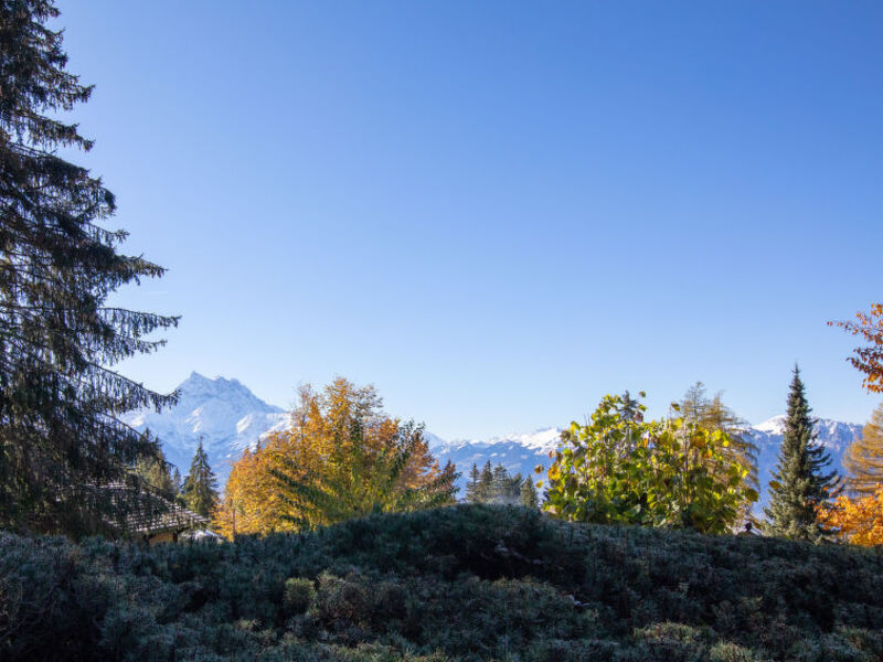 Chalet Le Haut Pré