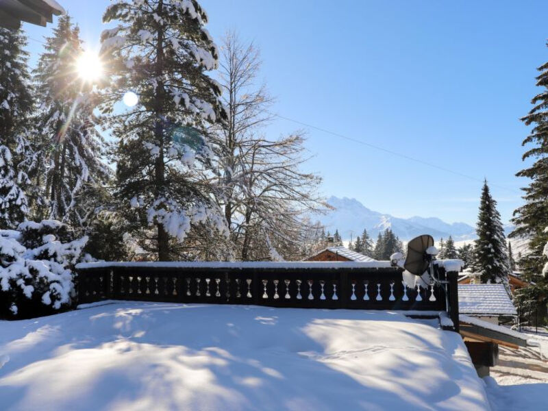 Chalet Le Haut Pré