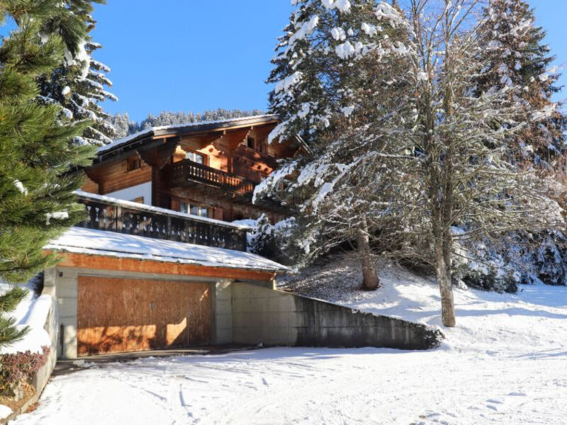 Chalet Le Haut Pré