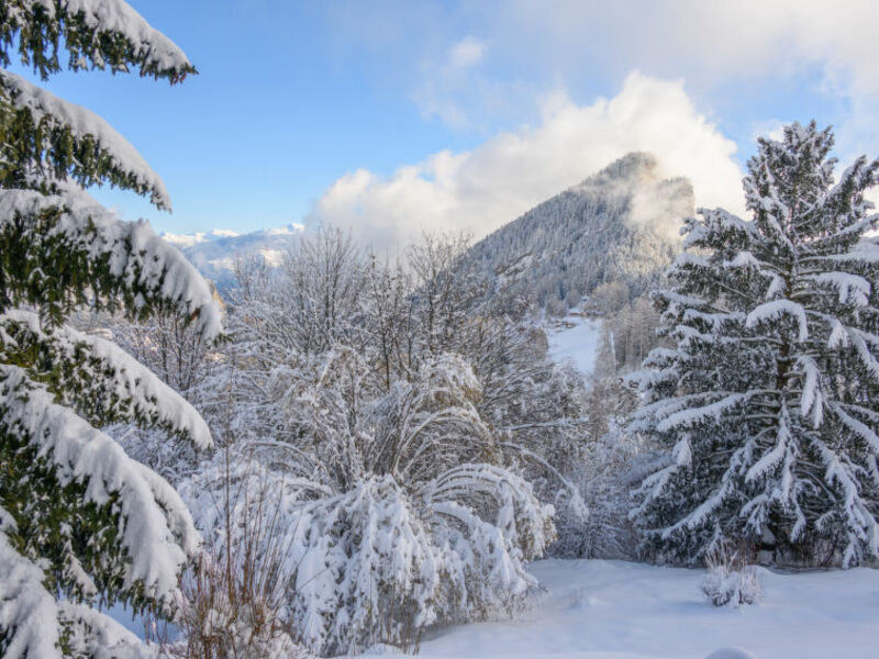 Chalet Mélanie