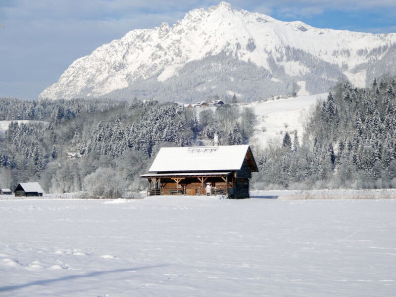 Steiners Blockhütte