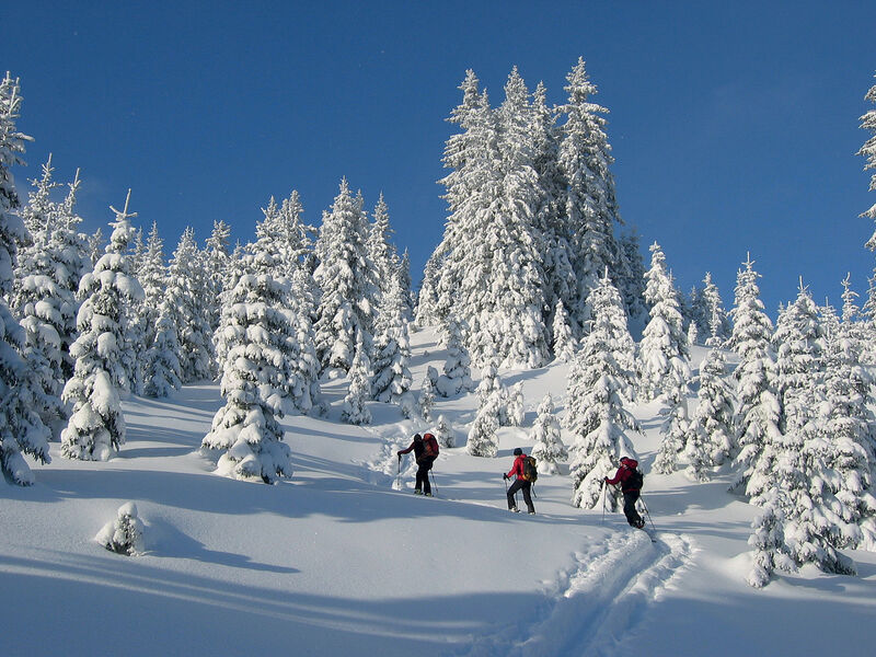 Alpin Resort Erzberg se skipasem