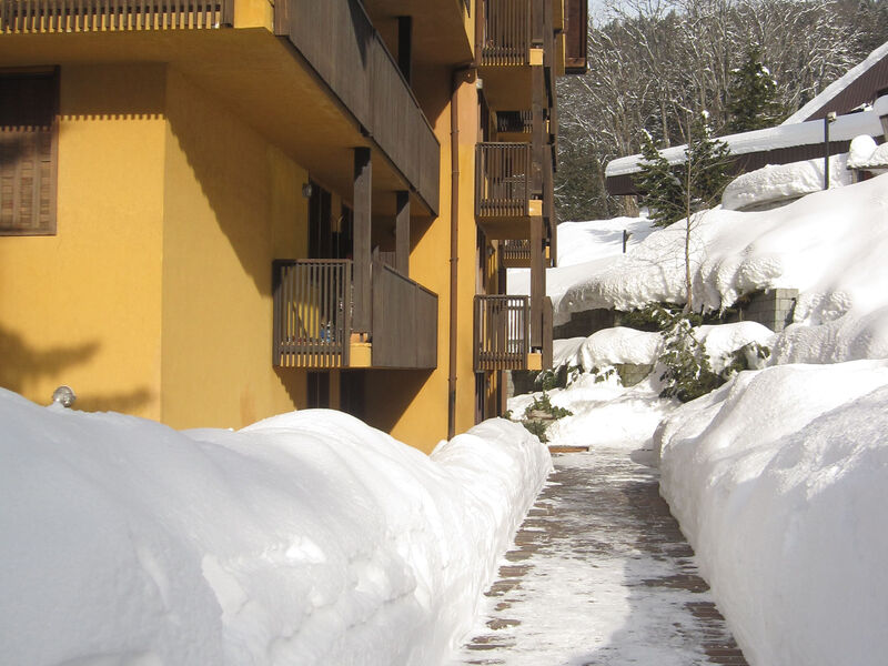 Aparthotel Des Alpes