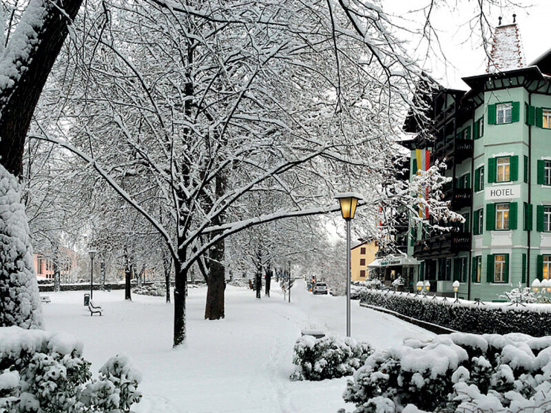 Hotel Dependance Grüner Baum