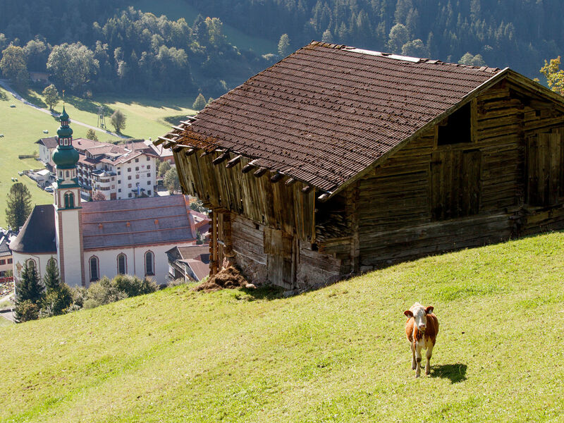 Landhotel Tirolerhof