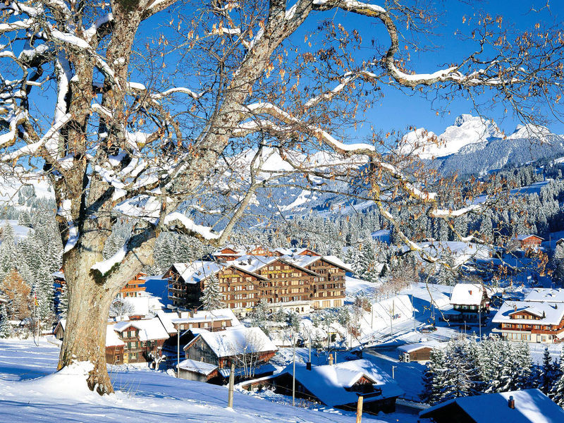 Les Hauts de Gstaad & Spa