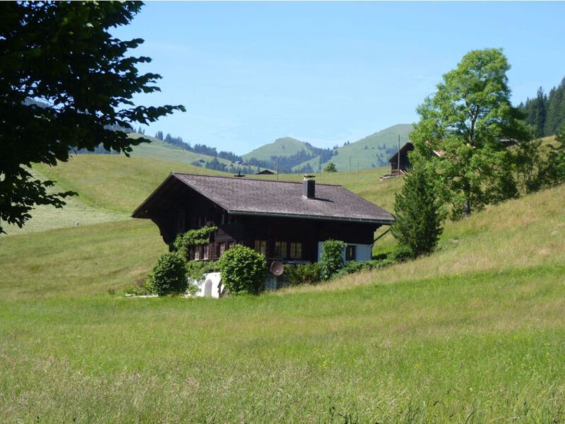 Aerneli, Chalet