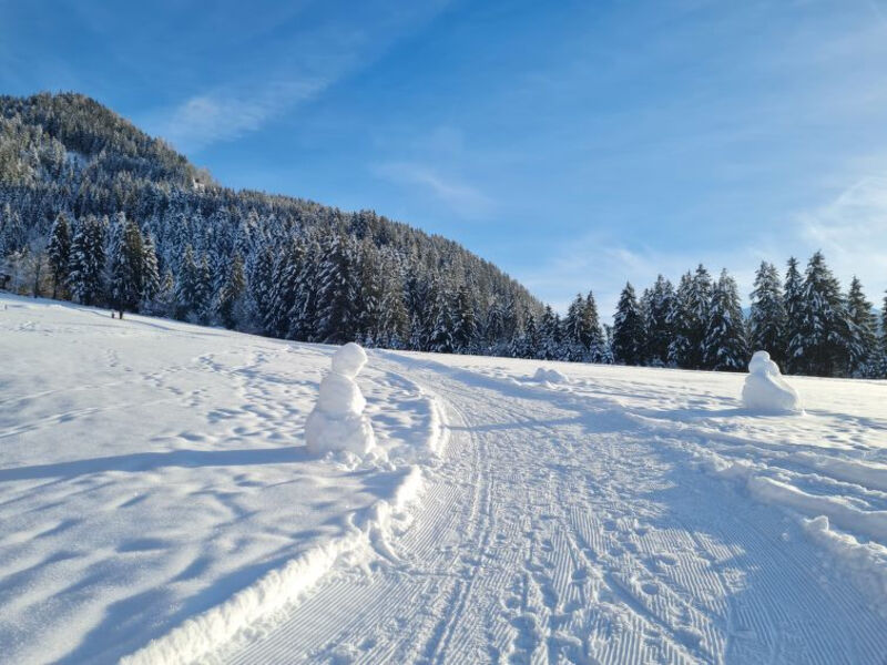 Alpine Residence Auszeit