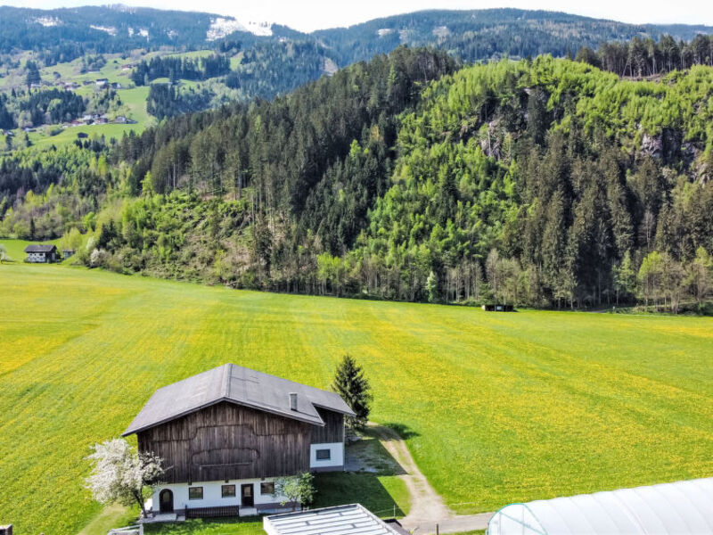 Apartment Wallischer Johann