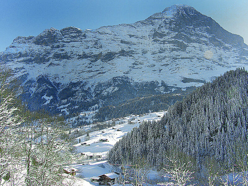 Auf dem Vogelstein