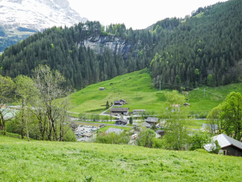 Auf dem Vogelstein