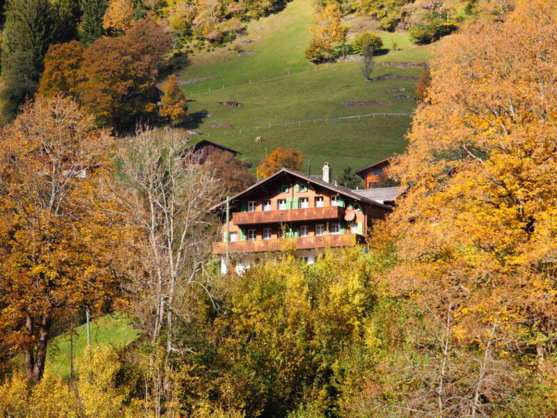 Auf dem Vogelstein