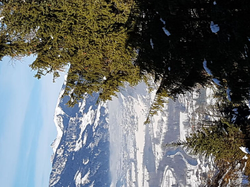 Bad Gastein Appartements