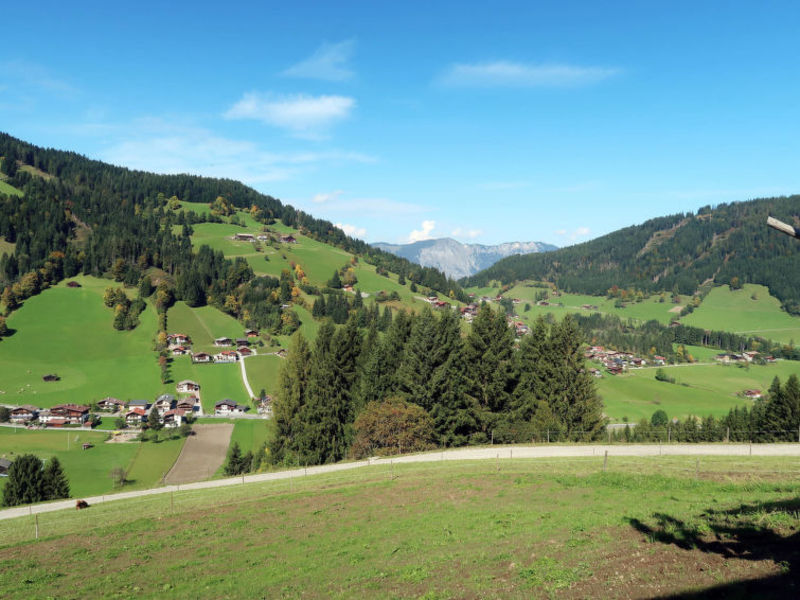 Bauernhaus Huberhof (WIL105)