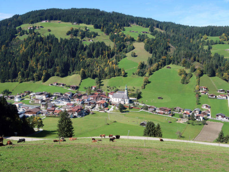 Bauernhaus Huberhof (WIL105)