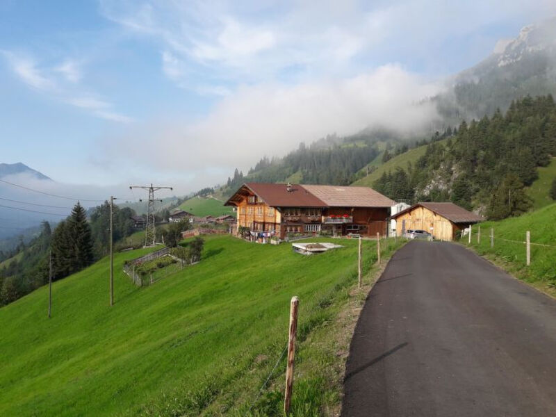 Bauernhaus Uf dr Flue