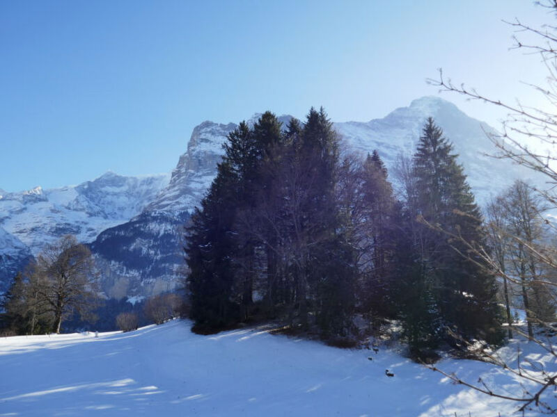 Blaugletscher