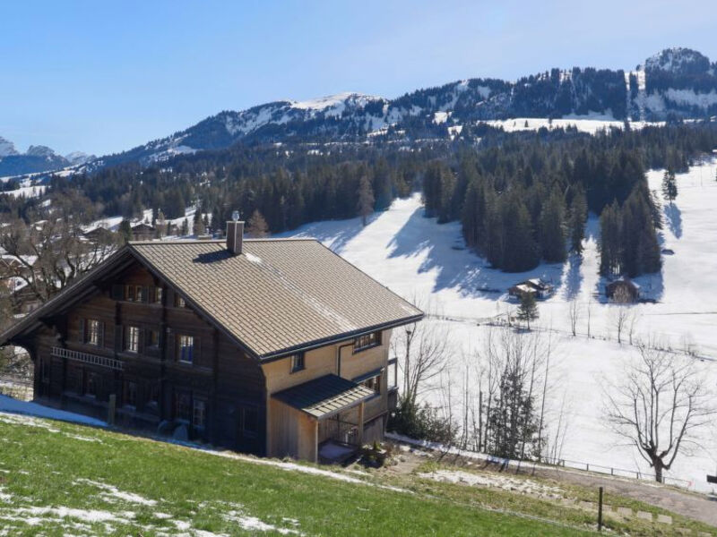 Chalet Ahorni