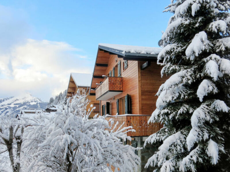 Chalet Fer à Cheval (CAT410)