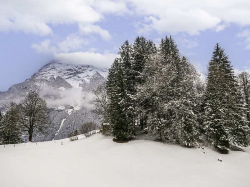 Chalet Grindelwaldgletscher