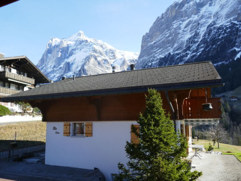 Chalet Pfingstrose