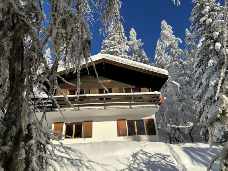 Chalet Soldanella (BEL205)