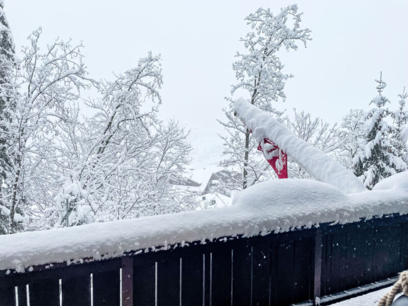 Chalet Tannengüetli