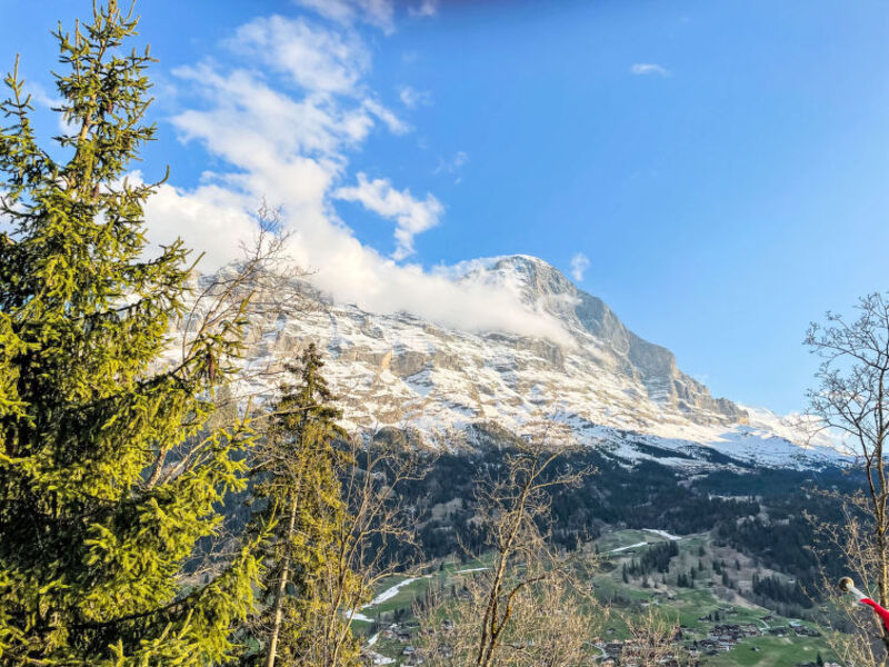 Chalet Tannengüetli