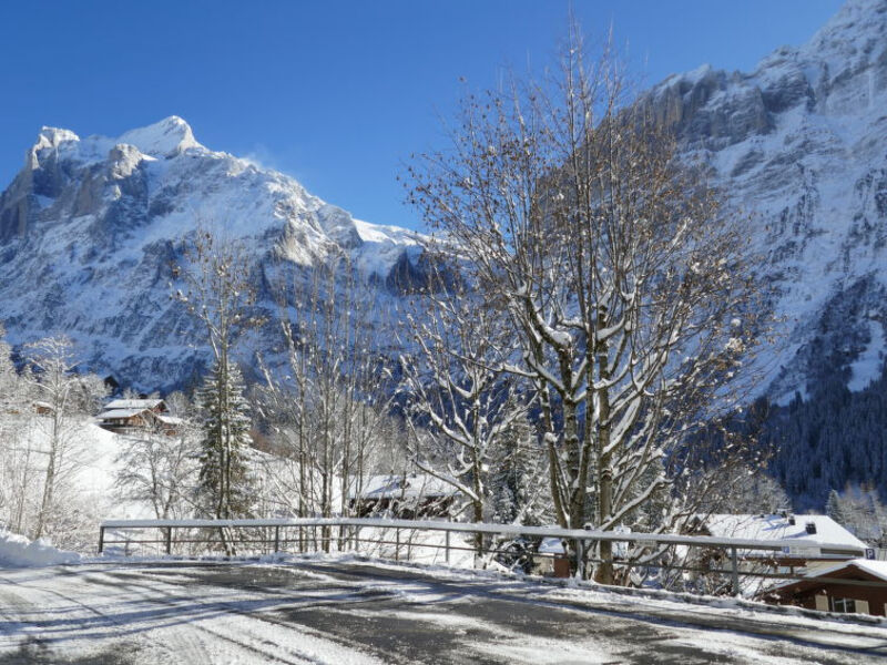 Chalet zur Höhe