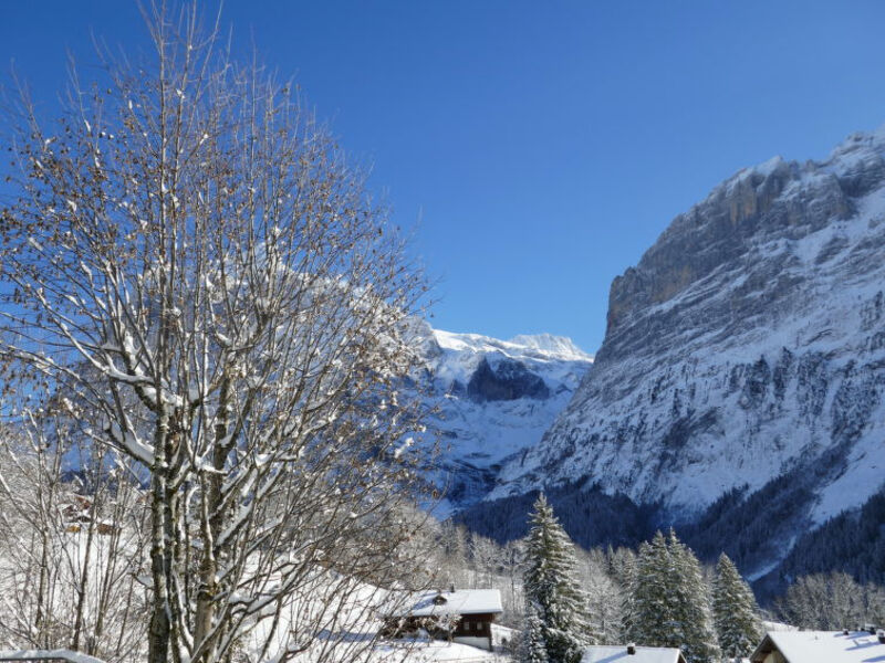 Chalet zur Höhe