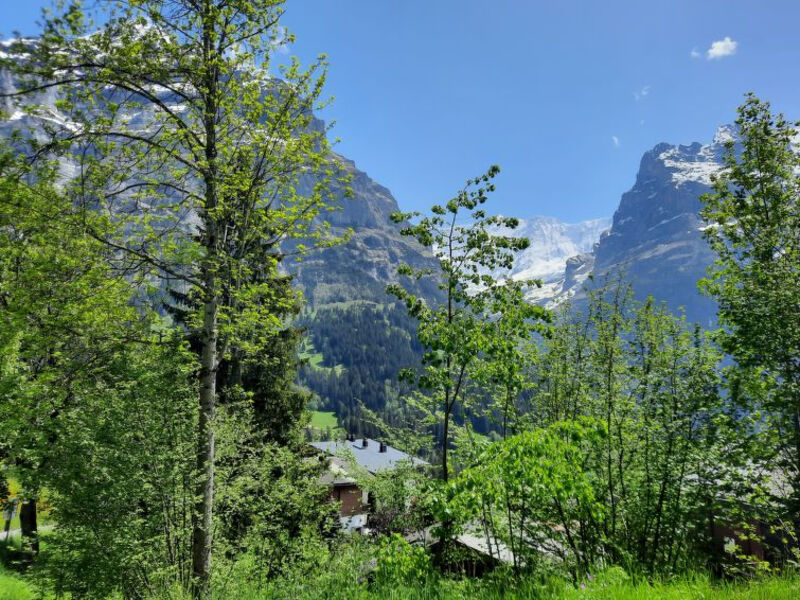 Chalet zur Höhe