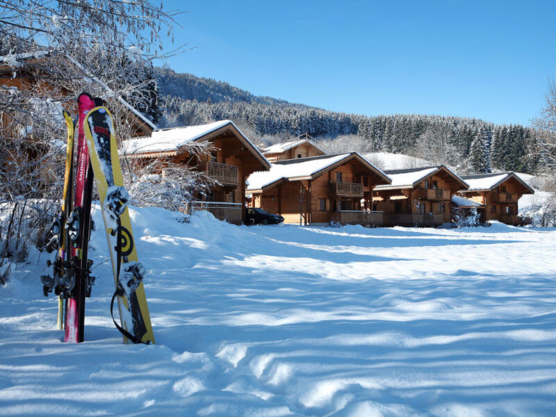 Chalets Bois de Champelle (MRI100)