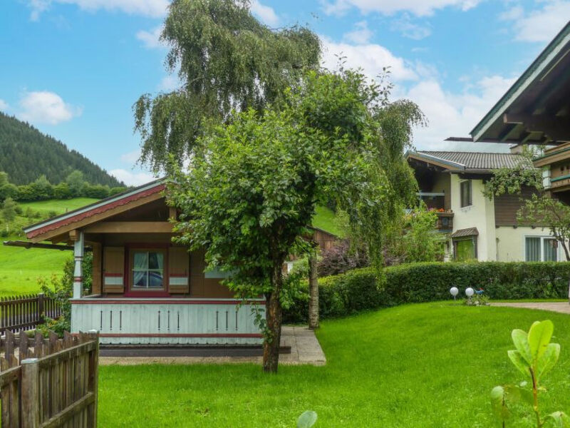 Ferienhaus Wildkogel