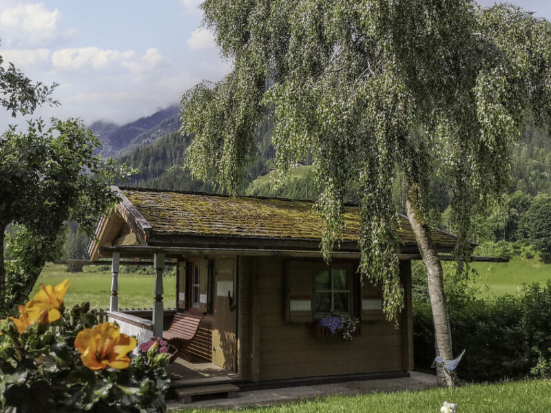 Ferienhaus Wildkogel