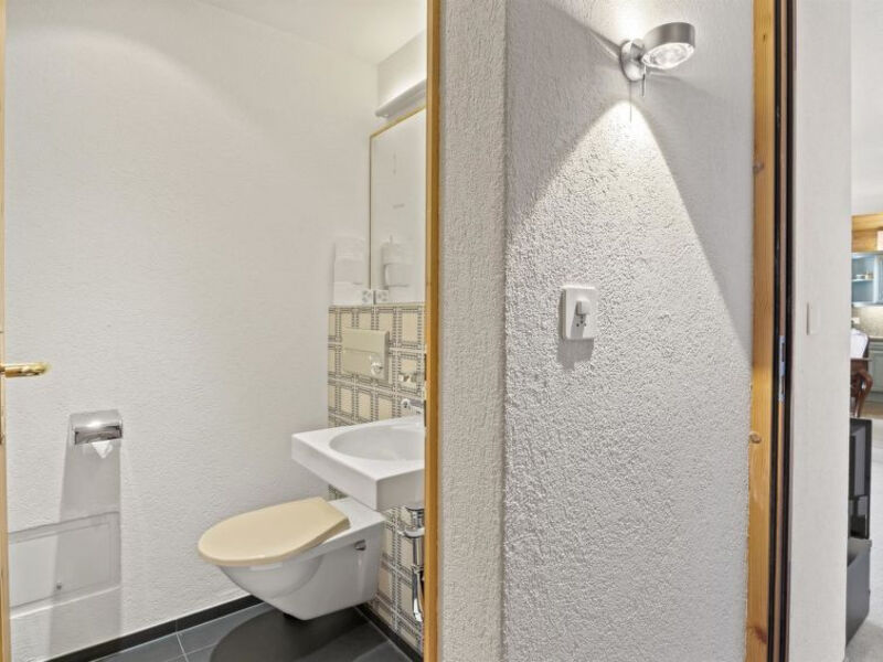 Ferienwohnung Schweizerhof 251