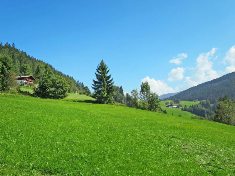 Ferienwohnung Tobias (RAD140)