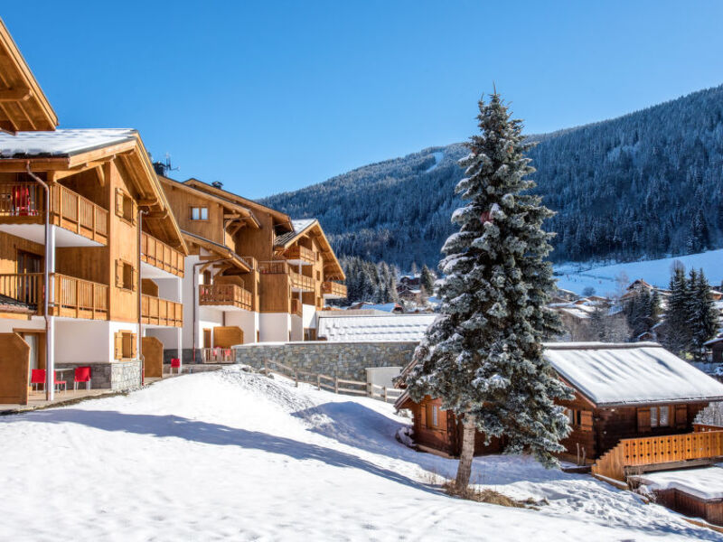 Les Chalets de Léana (CAZ110)