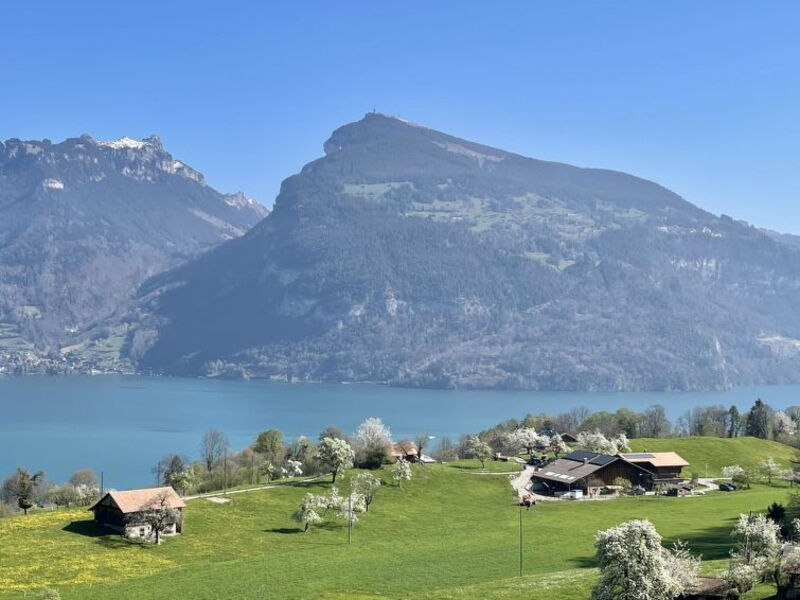 Panoramaferienwohnung Waldkircher