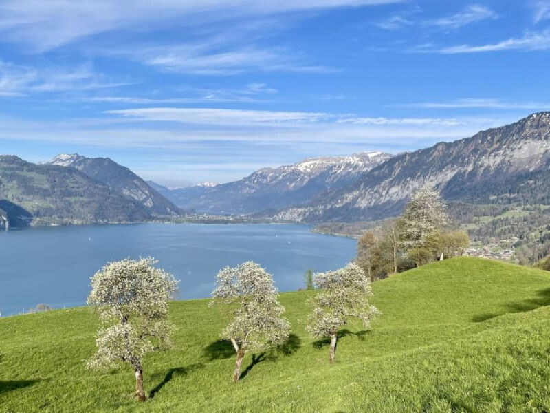 Panoramaferienwohnung Waldkircher