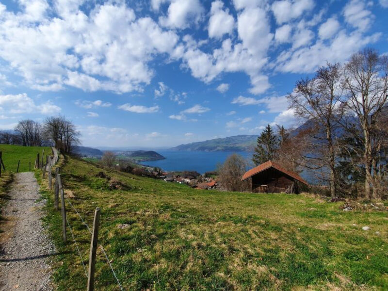 Panoramaferienwohnung Waldkircher