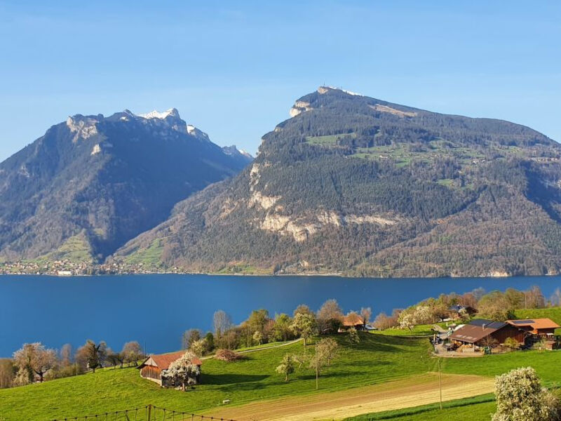 Panoramaferienwohnung Waldkircher