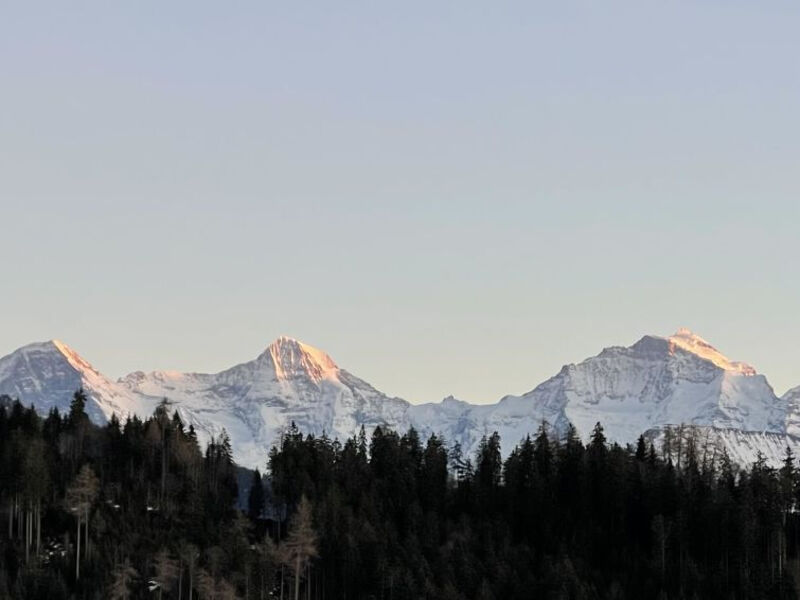 Panoramaferienwohnung Waldkircher