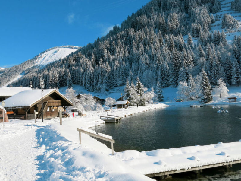 Résidence Les Chalets d'Angèle (CAT120)