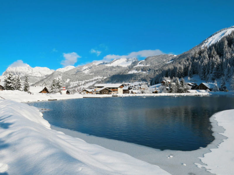 Résidence Les Chalets d'Angèle (CAT120)