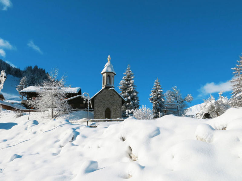 Résidence Les Chalets d'Angèle (CAT120)