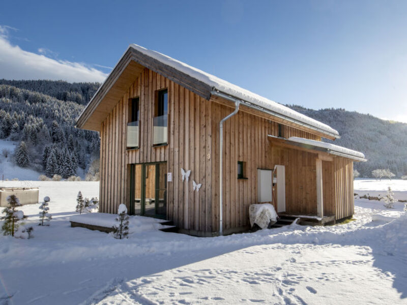 Superior # 15 mit IR-Sauna & Sprudelbad