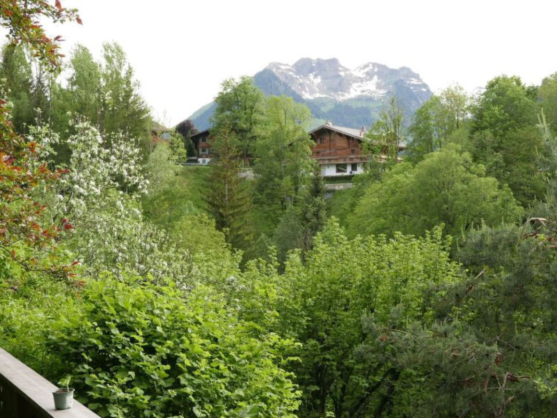 Tree-Tops, Chalet