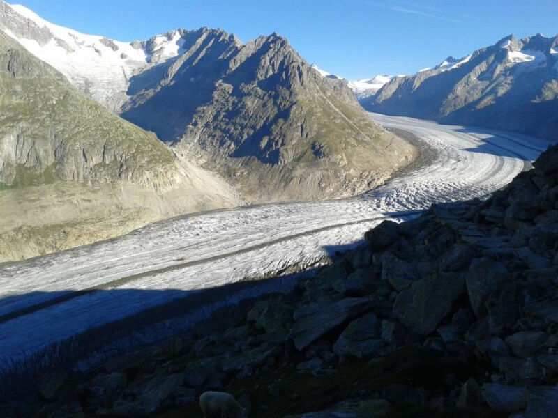 Weisshorn 2, 1. OG West