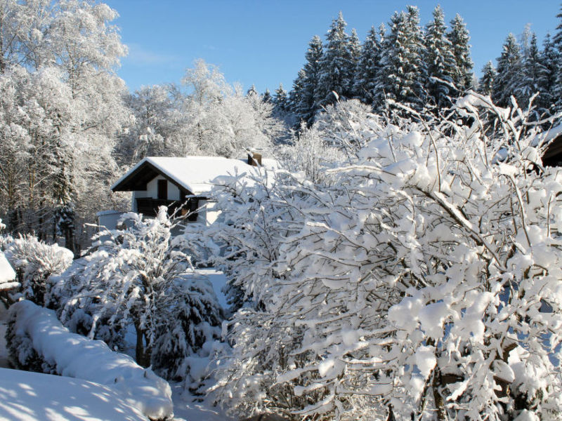 Wohnung Unterberg (RIW200)