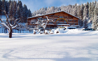 Náhled objektu Panoramahotel Talhof, Wängle bei Reutte, Tannheimer Tal / Reutte, Austria